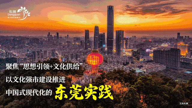 辰信会计 辰信会计